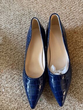 Pointed Toe Navy Croc-Embossed Women's Flats